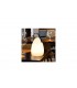 Portable Lamp