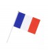 France Flag
