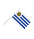 Uruguay Flag