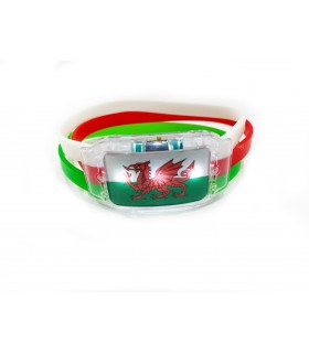 Luminous Fans Bracelet (Wales)