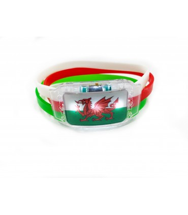 Luminous Fans Bracelet (Wales)