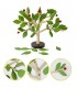 plant leaves puzzle game