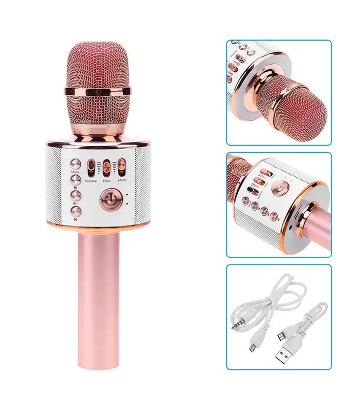 Professional Microphone